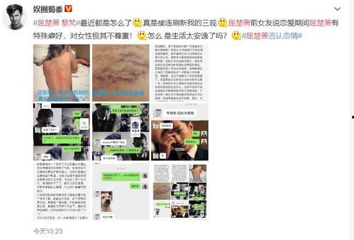 娱乐圈爆料400页,400页爆料揭露惊天秘密  第3张